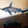 Hammerhead Shark sculpted in Zbrush.