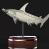 Great Hammerhead Shark sculpted in Zbrush and Rendered in Keyshot.  